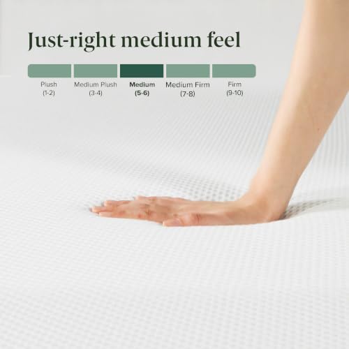 Image of Zinus 12 Inch Green Tea Cooling Memory Foam Mattress [New Version], Queen, Fiberglass Free, Medium Firmness, Cooling Gel Foam, Certified Safe Foams & Fabric, Mattress in A Box