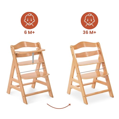 hauck Alpha+, Natur - Mitwachsender Holzhochstuhl aus Buche für Kinder ab 6 Monaten bis 90 kg - Inklusive 5 Punkt Gurt, Schrittgurt, Schutzbügel - Kompatibel mit viel Zubehör