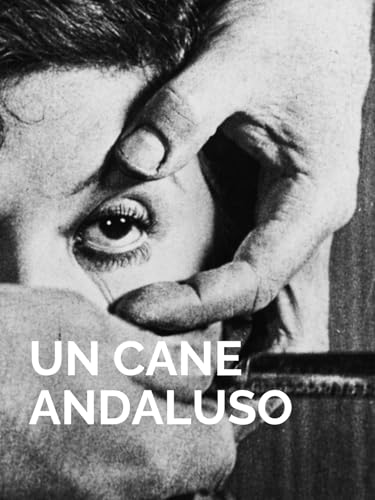  Un cane andaluso