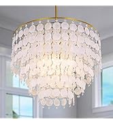 TOCHIC Natural Capiz Shell Chandelier, 6-Light Gold Modern Coastal