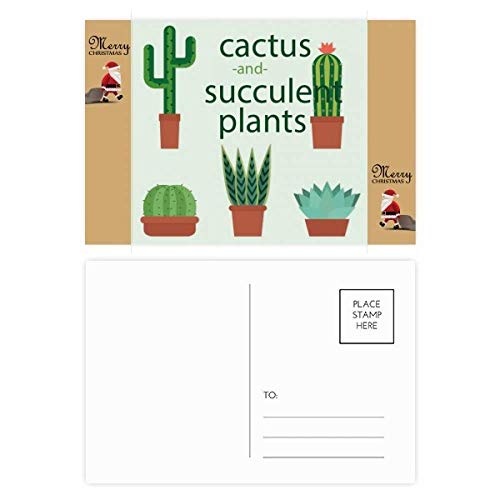 Cartes de remerciement plantes grasses en papier mat premium