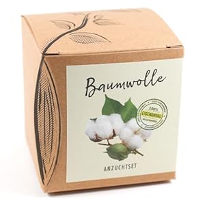 Natur Kraftwerk Anzuchtset Baumwolle 502