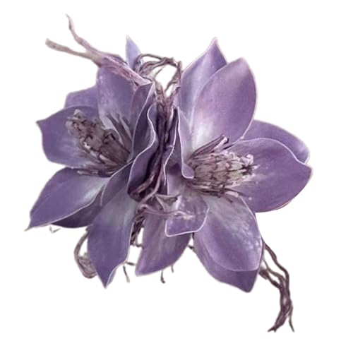 r[`ΉWX~wA܃Nbvj[Nȃ|j[e[z_[͂ȃObvƑfUC|GXe@ۃwAANZT[