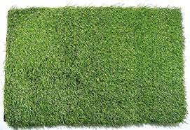 PlantaZee Grass Door Mat for Balcony-image-2