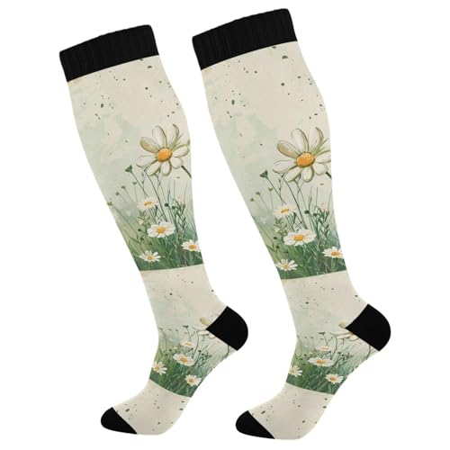 Wassud Vintage Spring Daisies Compression Socks for Women and Men 20-30 mmHg Knee High Socks for Nurses Travel Socks 1 Pair