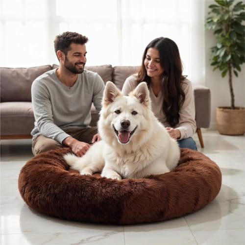 Image of ZEXSAZONE Round Donut Pet Bed for Cats and Puppies Dogs mat, Cozy and Plush, Raised Bedside Support, Both Sides Use Like 2 in 1, Washable, Sizes for Small, Medium Pets. Coffee, Size- 70x70x15 cm