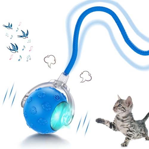 Huimpet Interactive Cat Toys for Indoor Cats, 2025 New Upgraded Moving Cat Ball with Chirping Sound, Rechargeable Fast Rolling Ball, Fun Automatic Kitten Toys for Bored Adult Kitten Exercise, Blue