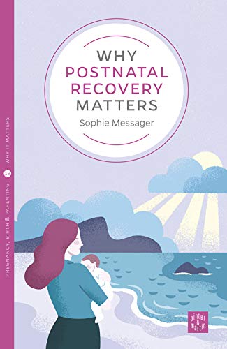 Why Postnatal Recovery Matters (Pinter & Martin Why it Matters Book 18)