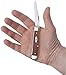 Case WR XX Pocket Knife Chestnut Smooth Bone Mini Trapper Item #28700 - (6207 SS) - Length Closed: 3 1/2 Inches