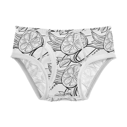 visesunny Boys Potty Training Underwear Black Line Lemon Fruit Breathe Cotton Briefs Size 2T-8Y for Toddler