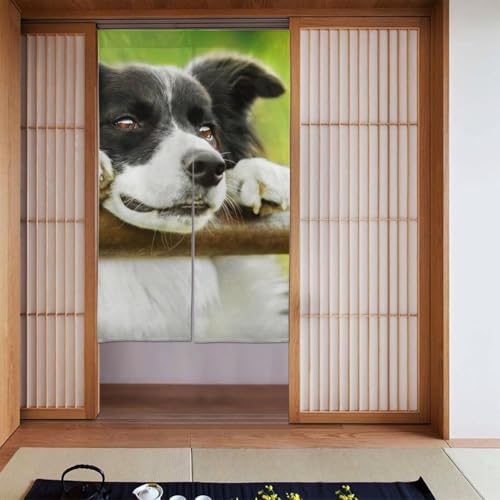 {[_[R[   ̂EԎd؂ Ռ ډB fM g O J[e   o Lb` rO HX g~[ ̂ 86cm×143cm 킢  Ngp