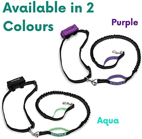 PupRepublic Hands Free Dog Lead - Perfect Dog Running Lead Or When Walking Or Hiking - Fully Adjustable Waist Belt With Reflective Bungee Dog Leads - Free Poo Bag Pouch Included