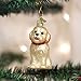 Old World Christmas Ornaments: Cockapoo Puppy Glass Blown Ornaments for Christmas Tree (12440)