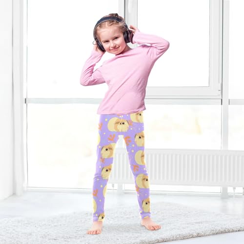 Guinea Pigs Girls' Leggings Toddler Doodles Cute Kids Yoga Pants Dance Active Tights 5T4