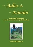 kondor vogel  Der Adler und der Kondor: Eine wahre Geschichte von einer unerwartet mystischen Reise