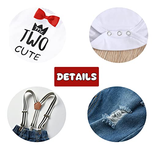 Pinleck Toddler Baby Boy Birthday Clothes Set Bowtie Romper Suspenders Ripped Denim Pants Outfits (Two Birthday-1Short, 2-3T) #TOP4