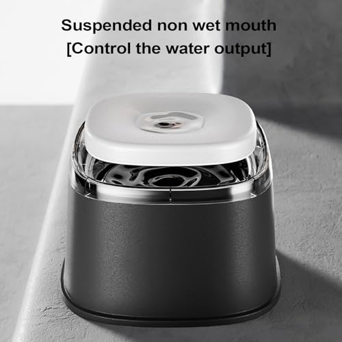 Spritzsicherer Wassernapf für Hunde | Haustier Wasserspender Schwimmnapf - 2000ml Großvolumen Tränke Für Welpen Kätzchen Unterwegs Zuhause Auto Reise