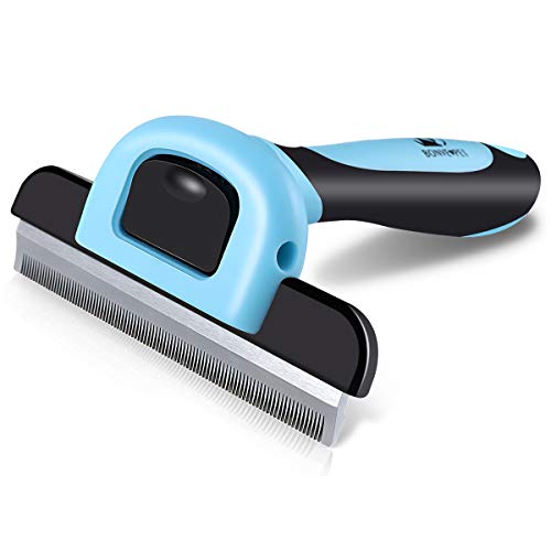 OCDAY fyboy012 Dog Brush, Blue