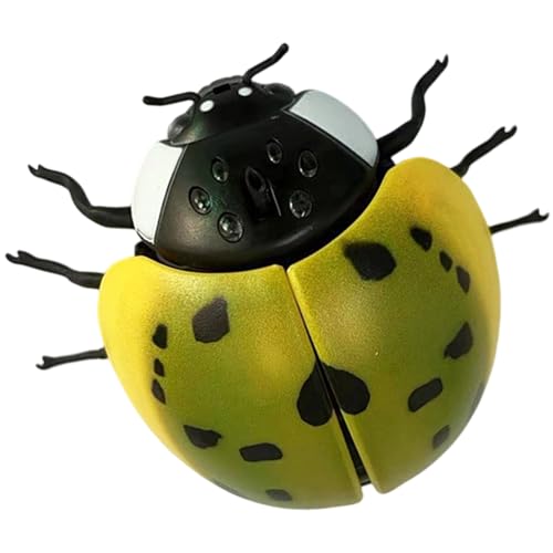 C^NVN[LǐՂᎩmZpQybgGQ[WgybgC^NV