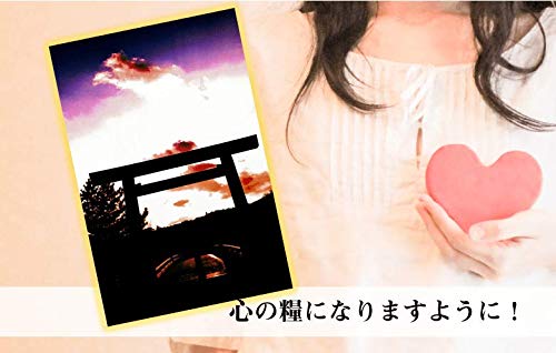 写真「伊勢神宮の大鳥居に龍が昇る」 秋元隆良 奇跡の写真 伊勢神宮の大鳥居に龍が昇る 開運 幸運