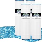 HANXER C-7468 Pool and Spa Filter Cartridge Replacement for PJAN115, CL460, Filbur FC-0810, R0554600, Jandy CV460, A0558000, XLS-705, Darlly 70852 115 Sq.Ft Filter Cartridge 4 Pack