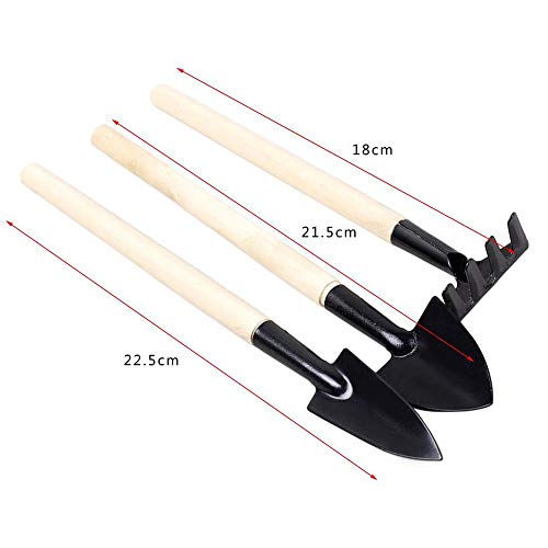 Ferramentas de jardinagem de cabo longo da Jullynice 3 peças/conjunto de mini ferramenta de jardinag