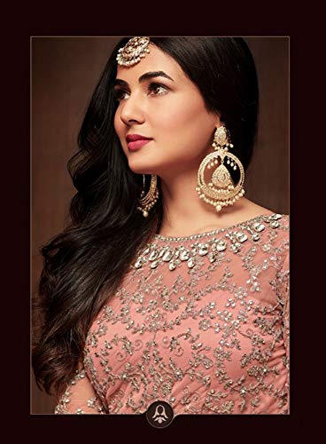 Alamara Fashion Ready to Wear Indian Pakistani Party Wear Wedding Anarkali Gown Suit2