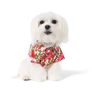 United Pups Hawaiian Shirt for Dogs Small to Medium Pets Cats Design for Summer Luau Style Beach Camp Vacation Floral Puppy T-Shirt (Size 3: Max Neck 13″ Chest 22″, Cool Pups Red)