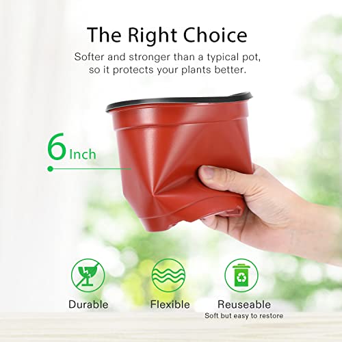 Vivosun 50Pcs 6 Inch Planter Nursery Pots, Plastic Pots For Flower Seedling #TOP2
