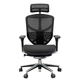 エルゴヒューマン エンジョイ オフィスチェア ブラック ヘッドレスト付き 3Dファブリックメッシュ ergohuman ENJOY EJ-HAM KMD-31