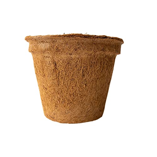Coconut Fiber Planter Pots - 6 Pack - 9 in.