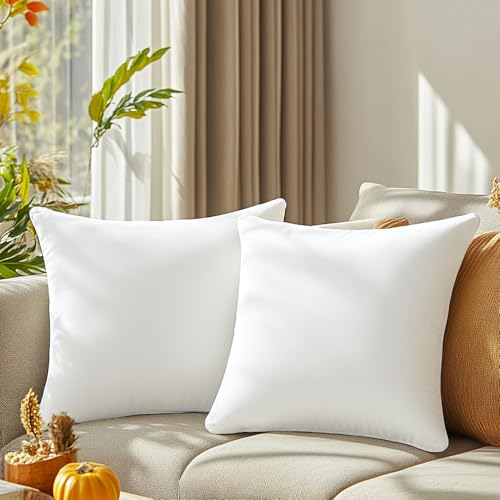 QUORGVES White Velvet Throw Pillow Covers 20x20 Inch Set of 2