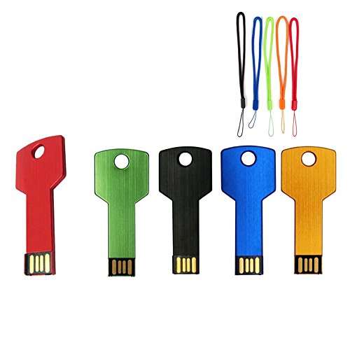 Yaxiny Juego de 5u00a0memorias USB, forma de llave, USB 2.0,u00a0Flash Drive, de metal (16.0 GB)