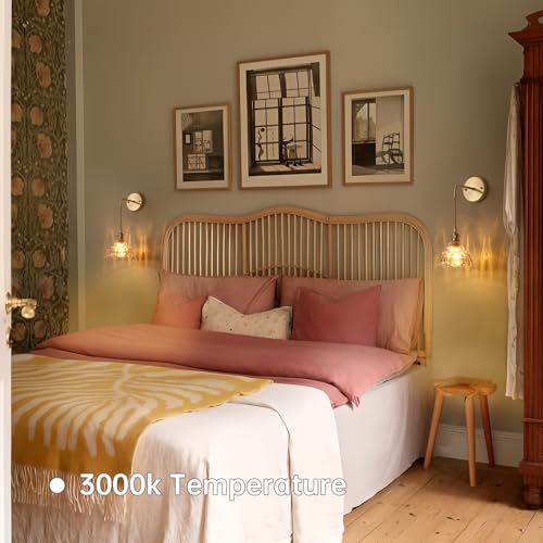 Image of Shenmoyl Battery Operated Wall Sconce Wall Lamp with Amber Lily of the Valley Shade Pattern Glass Adjustable Chain Retro Gold Wall Mounted Light, Modern Wall Lamp Fixtures Decor for Bedside Bedroom