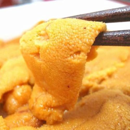 新鮮市場 ウニ 無添加 ブランチ 冷凍 生うに 100gx5パック A品 刺身 チリ ミョウバン 不使用 ギフト プレゼント 海産物 母の日 父の日