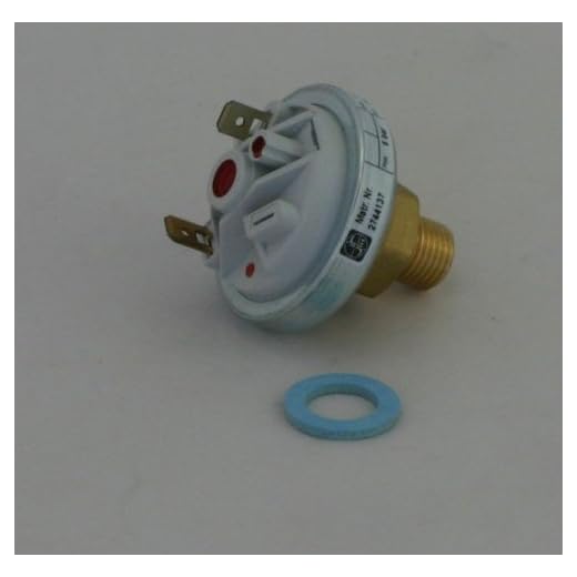 Wolf 8751201 Pressure Washer Overview