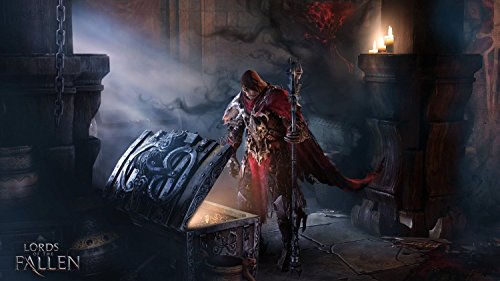 Lords of the Fallen version physique premium game - 7