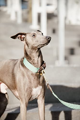 Collier pour chien jacquard XS cuir vert olive - 6