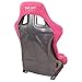 NRG Innovations FRP-302FH-PRISMA Prisma Fixed Back Bucket Racing Seat with Bottom Mount Bracket,Fushia/Mix Sparkled Paint Back