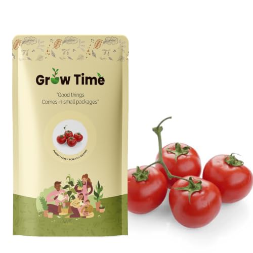 Image of Jumbo Italy Tomato Vegetable Seeds, Vegetable Seeds for Home Gardening, Vegetable Planting Seeds for Kitchen, Tomato Seeds (Pack of 200 Seeds) (Red, Jumbo Italy Tomato)