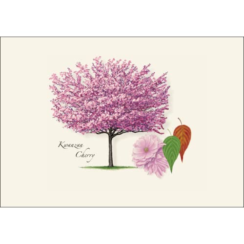 Image of Earth Sky + Water - Cherry Tree Assortment Notecard Set - 8 Blank Cards with Envelopes (4 each of 2 styles)