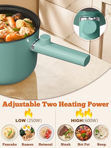 Electric Portable Hot Pot