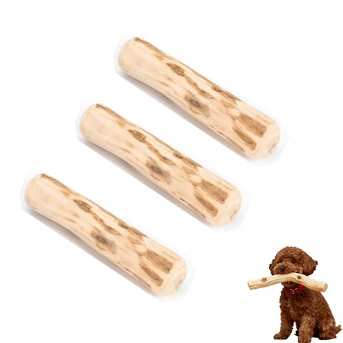Soiftra 3 Stück Kaffeeholz für Hunde,Zahnreinigung Kauholz für Kleine und Mittlere,Robuster Kauknochen,Kaffeeholz für Welpen,Natürliches Kauholz(14cm Länge, 1.8-2cm Durchmesser)