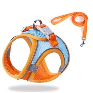 Cat Harness and Leash Set Soft Adjustable Escape Proof Cat Leash Breathable Comfortable Vest Easy to Wear Kitten/Small Dogs Harness for Outdoor Walking Orange S