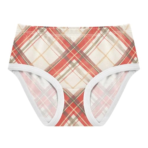 GuoChe Brief Panties All Seasons Panties Organic Cotton Toddler Underwear for Kids in Sizes 2T,3T, 4T, 5T, 6Y and 8Y