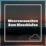 Strand Palmen Meer