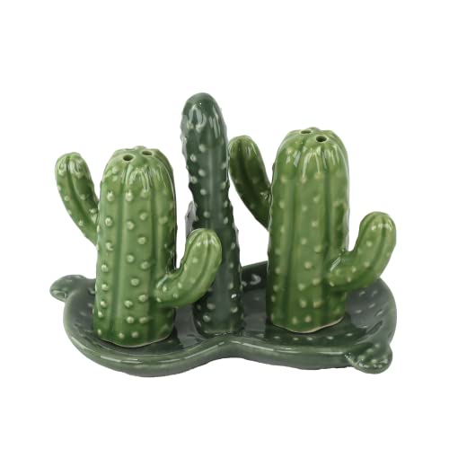Salero y pimentero de cerámica Coleccionistas Decoración de cocina con bandeja - Cactus