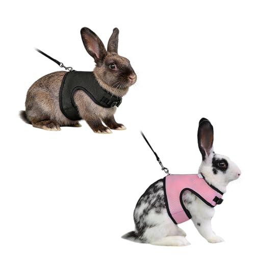 2 Stück Kaninchen Leine,Hasenleine,Kaninche Geschirr,Kaninchengeschirr mit Leine,Atmungsaktives Hasengeschirr und Leinen Set,Verstellbare Netzweste für Kaninchen,Katzen und Andere Kleine Haustiere