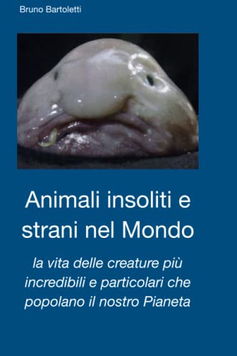 Animali insoliti e strani nel Mondo: la vita delle creature più incredibili e particolari che popolano il nostro Pianet