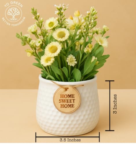 Image of Yo Green Ceramic Plant Pot for Indoor & Outdoor, Modern Planter for Home & Office Decor, Durable, Stylish Finish, Ideal for Tabletop, Shelf, Balcony, Great Gift Idea (White, 3 Inches)